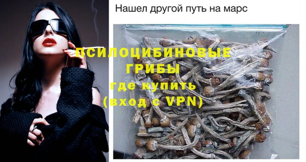 PSILOCYBIN Магас