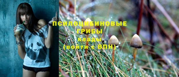 PSILOCYBIN Магас