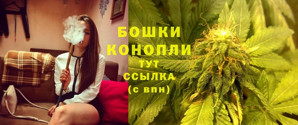 PSILOCYBIN Магас