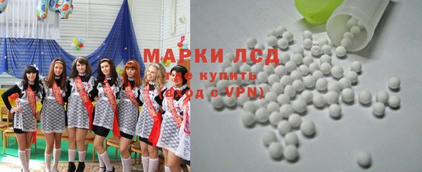 PSILOCYBIN Магас