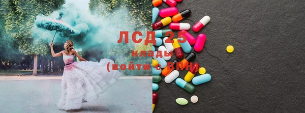 PSILOCYBIN Магас