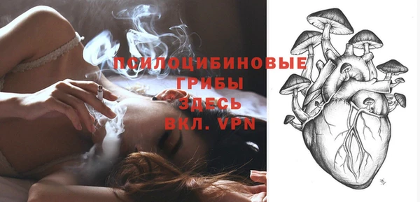 дмт Майский